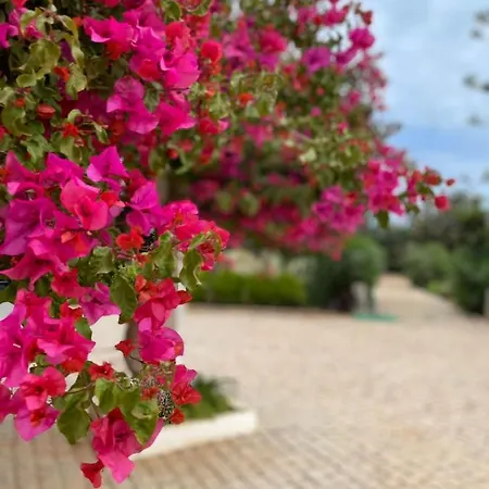 Quinta Vale Caranguejo Villa Tavira Exterior photo