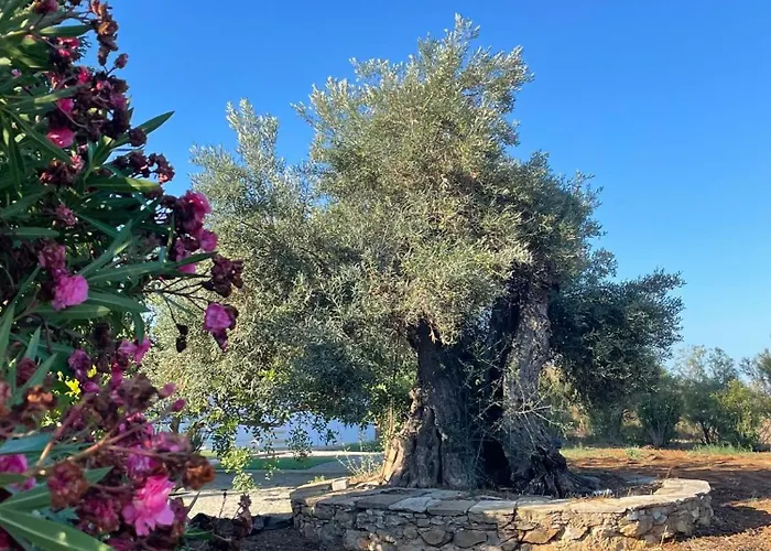 Quinta Vale Caranguejo