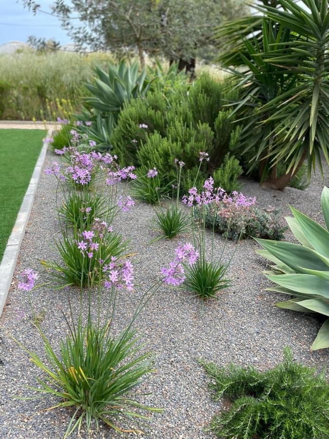 Quinta Vale Caranguejo Holiday home